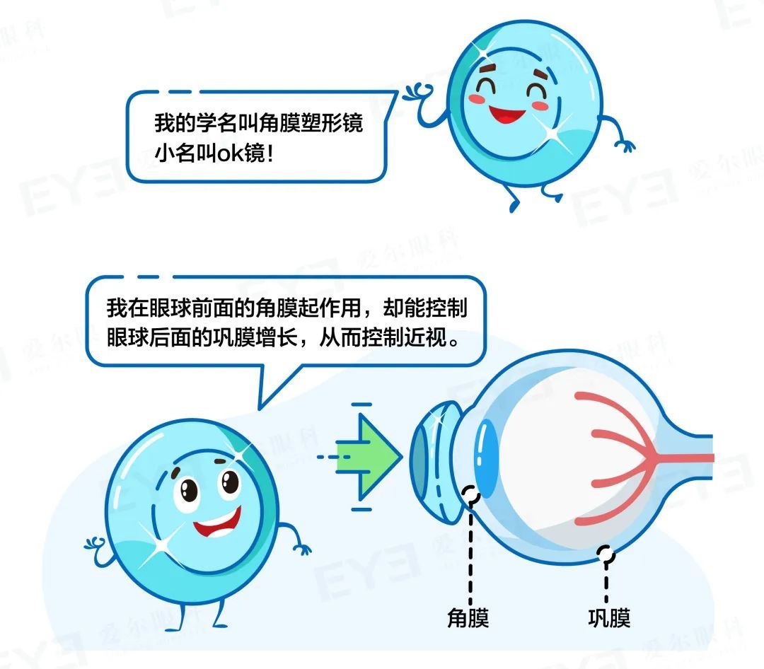 圖片.png 圖片.png