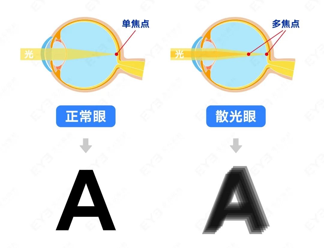 圖片.png