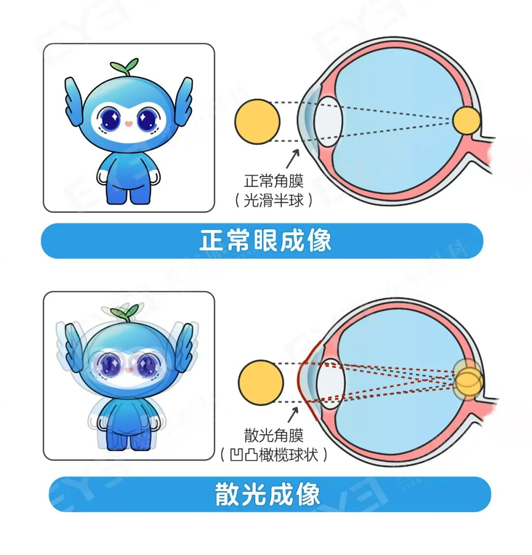 圖片.png 圖片.png