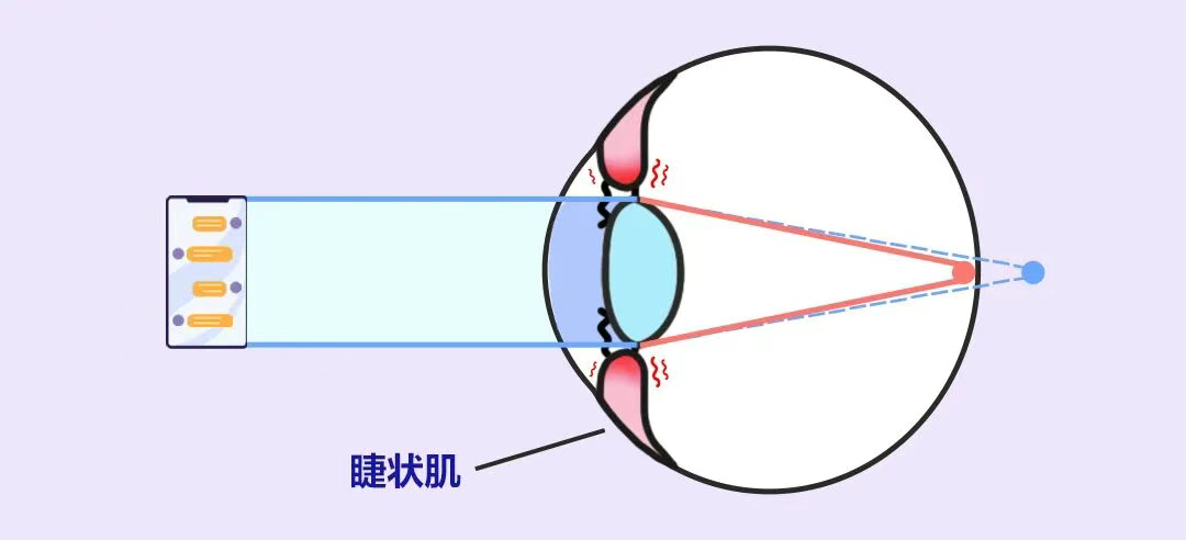 圖片.png 圖片.png