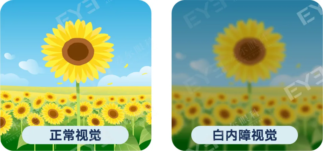 圖片.png 圖片.png