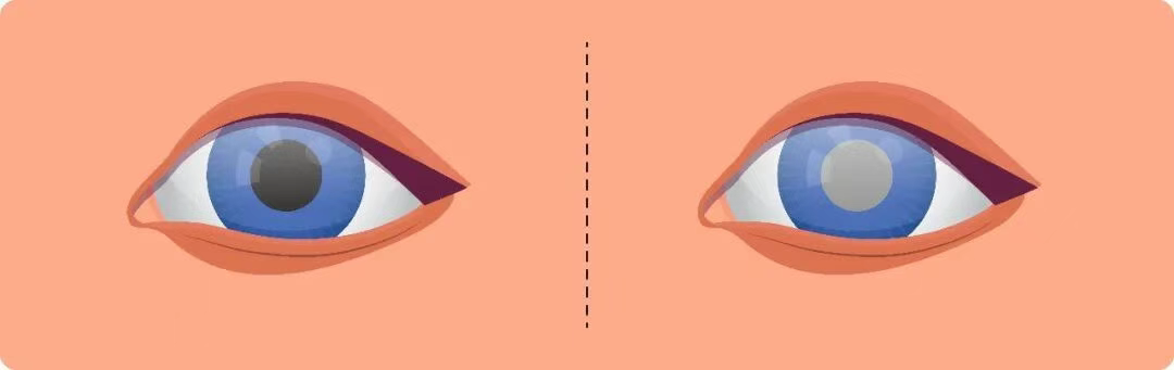 圖片.png 圖片.png